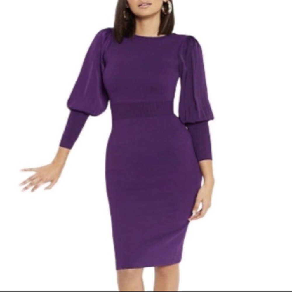 NWT Eva Mendes New York & Company Knit Dress Contrast Sleeves
